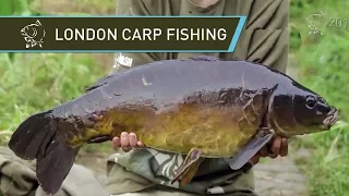 Carp Fishing Video Alfie Russell at Hampstead Heath London Nash H-Gun