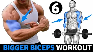 6 BEST Exercises For WIDER BICEPS Workout