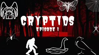 Cryptids & Cryptozoology  FREAKY FRIDAY