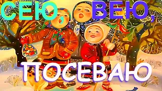 Сею, вею, посеваю.Лучшие посевалки на старый новый год/#shorts