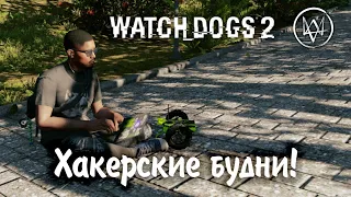 Watch Dogs 2 – ХАКЕРСКИЕ БУДНИ!