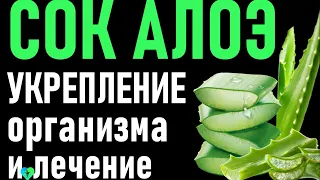 СОК АЛОЭ вера: укрепление иммунитета и лечение: 10 рецептов (+противовирусные рецепты). Лечение алоэ