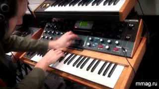 mmag.ru: Moog Minimoog Voyager - аналоговый синтезатор