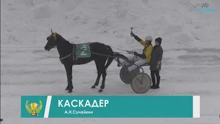 Алексей Сунейкин и Каскадер, 1 место! 🏆