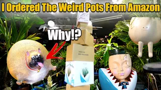Amazon's Weirdest Pots