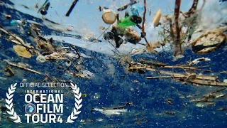 International OCEAN FILM TOUR Volume 4 | A PLASTIC OCEAN