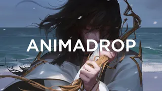 Animadrop - Fragile Self