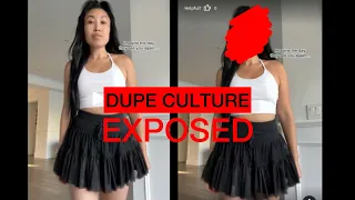 EXPOSING dupe culture and the terrifying reality of what they did to me
