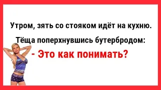 Утром, зять со стояком идёт на кухню. Сборник Свежих Анекдотов! Юмор! Ржака!