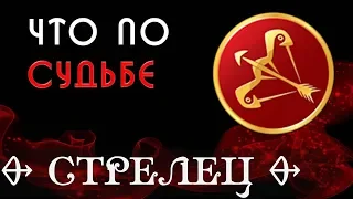 СТРЕЛЕЦ  что по СУДЬБЕ. Гороскоп на картах Таро