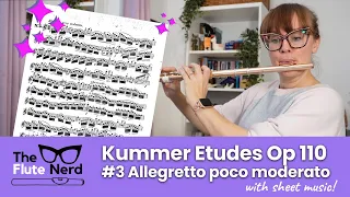 Flute Etude #3 from Kummer 24 Etudes mélodiques Op 110