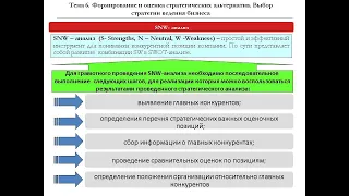 snw анализ