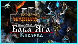Баба Яга Total War Warhammer 3 прохождение за Кислев - Дочери Леса  (сюжетная кампания) - часть 1