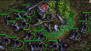 Mass Acolytes Rush UD vs NE | Warcraft 3 Reforged Classic gfx