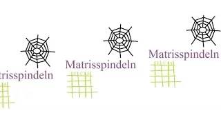 Matrisspindeln