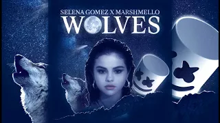 Selena Gomez, Marshmello - Wolves (karaoke with backing vocals)