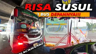 BLEDOSSS‼️ GANDENG 3 BUS SUMBER🔥🔥🔥Trip Sumber Selamat W 7087 UZ “BlackHankei” Solo-Caruban 3 Jam‼️