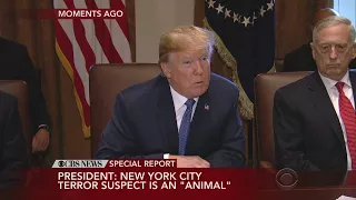 Trump Calls NYC Terror Attack Suspect 'Animal'