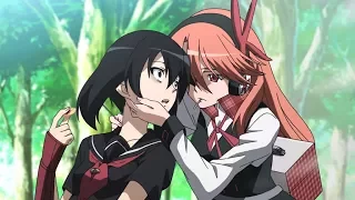 Akame Ga Kill [AMV] - Nickelback - Animals