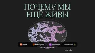 Богатый внутренний мир: человечество против глистов | Подкаст Почему мы еще живы