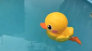 O PATO ROBÔ QUE ANDA E NADA NA PISCINA!!