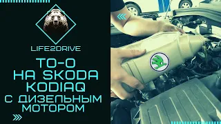 ТО-0 на SKODA KODIAQ с дизельным двигателем.