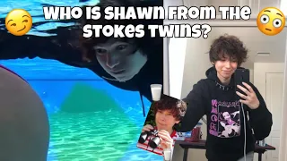 Who is Shawn from the Stokes twins?