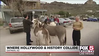 Oatman, Arizona is where Hollywood, history collide