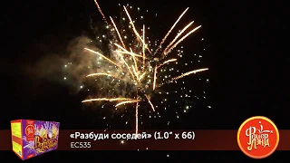 ЕС535 Батарея салютов Разбуди соседей (1''x66)