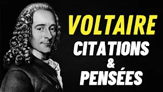 VOLTAIRE : LA TOLÉRANCE, L'ÉGALITÉ ET LA NOBLESSE | CITATIONS