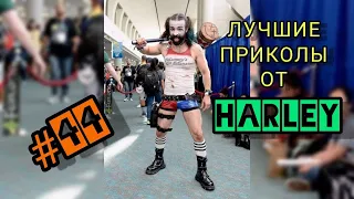 Лучшие приколы 2021 до слёз от Harley #44 ЯНВАРЬ