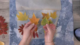Как высушить осенние листья для поделок просто и быстро. Заготовка осенних листьев. Мастер-класс.