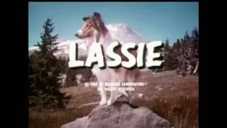 Lassie - Episodes #473-4-5 - Hanford's Point - Parts 1, 2 3 - Season 14, Ep. 26,27,28