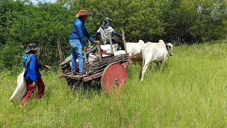 VISITANDO AGRICULTORES NO SÍTIO CHOCALHO DE SERRA TALHADA PERNAMBUCO. VEJA O CARRO DE BOI NO SERTÃO.