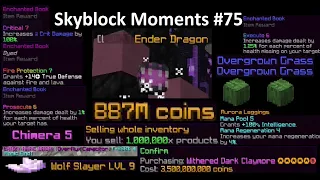 RNG + COINS (hypixel skyblock moments #75)