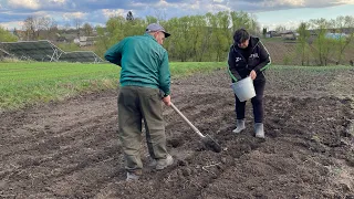 І знову субота, і нова робота... МОЄ ПОДВІР'Я 🌺🌸🌼🌸🌺