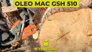 CORTE Fuerte y Preciso 👌| Motosierra Oleo Mac GSH 510 🪵 [Prueba con Troncos Grandes]