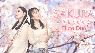 【フルート】SAKURA/いきものがかり【Flute Duo】