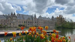 The Hague