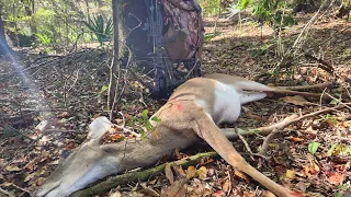 PacSeat Doe Kill: Deer 1 - 2022 Season