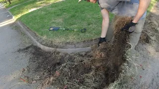 I Can't BELIEVE There's a CURB Under There - SATISFYING Edging and Mowing OVERGROWN Yard for FREE