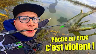 Cette rivière déborde et rassemble tous les poissons, la pêche devient violente !!!