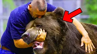 Crying Bear Mom Leads Man To Her Dying Cub, But The Man Was Shocked