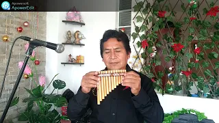 How to Play a Tunable Antara Pan Flute 13 Pipes by Peru Treasure