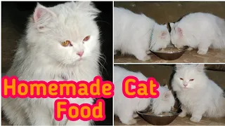 Homemade Cat Food | Persian Cat Food | How tu Make cheap Homemade Cat Food | The Cats Lover |