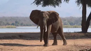 Overlanding in Northern Zimbabwe - Episode 2