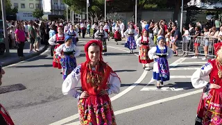 🥁 Desfile I Ranchos Folclóricos I Senhora d'Agonia I Viana I 2023