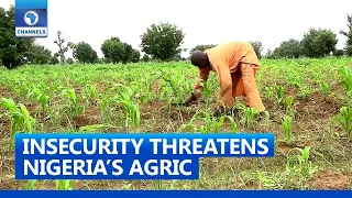 Farmers Lament Impact Of Insecurity On Agriculture, Transportation