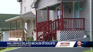 Neighbors are seeking answers after months without home mail delivery after dog bite