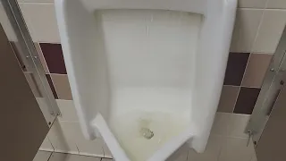 I put my hand over the sensor and it flushed automatically!